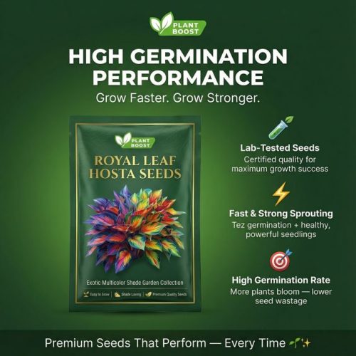 Last Day Sale 50offpremium Rare Hosta Seeds